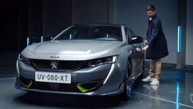 Photo de Peugeot et Djoko, la force du silence !