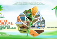 Photo de Kia Maroc au SIAM 2026 : une stratégie multi-segments pour accompagner la mobilité