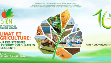 Photo de Kia Maroc au SIAM 2026 : une stratégie multi-segments pour accompagner la mobilité