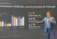 Photo de Marché automobile : Le diagnostic sans détour de Adil Bennani